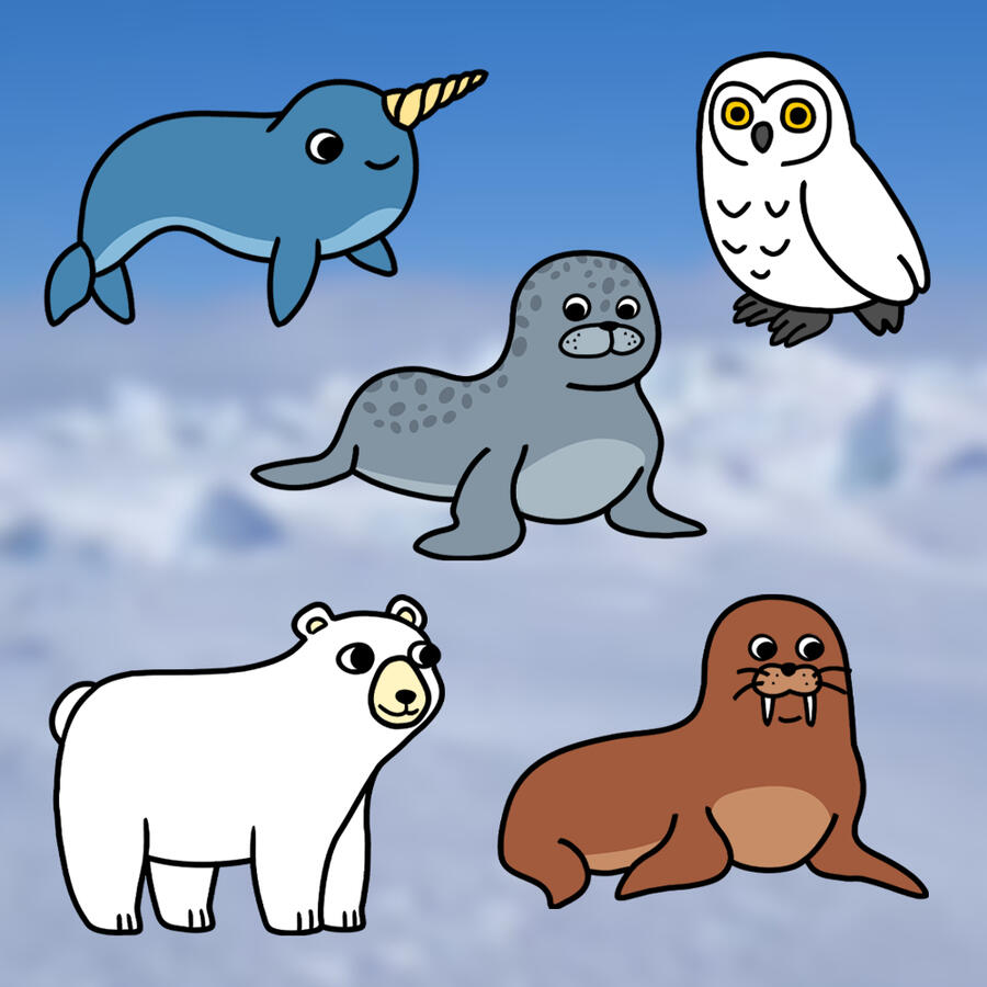 Arctic Animals Pack 1