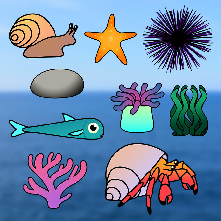 Marine Animals Pack